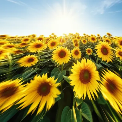 Illustration radiant - Image 1