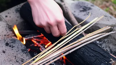 Illustration kindling - Image 1