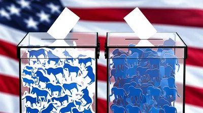 Illustration splits - Image 1