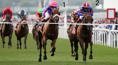 Illustration perfectas