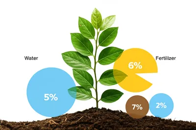 Illustration percentages - Image 1
