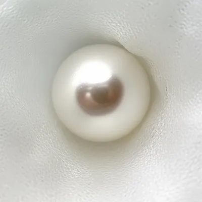 Illustration inclusions - Image 1