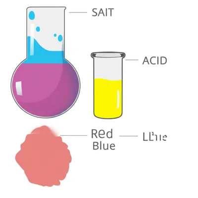 Illustration base - Image 1