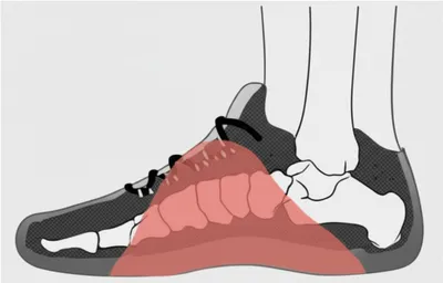 Illustration instep - Image 1