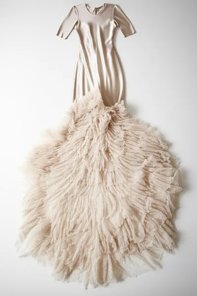 Illustration frills - Image 1