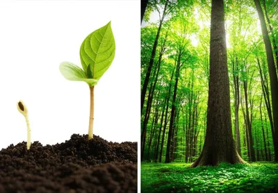 Illustration way - Image 1