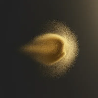 Illustration plume - Image 1