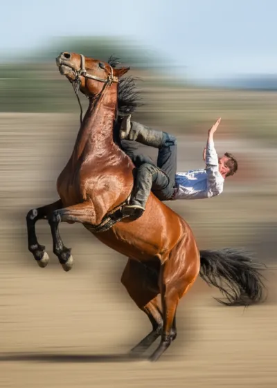 Illustration plunging - Image 1