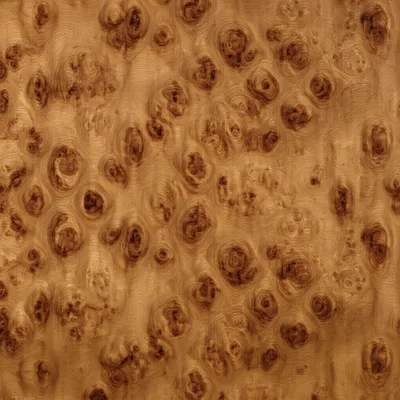 Illustration burrs - Image 1