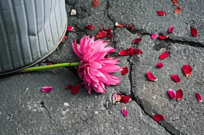 Illustration going - Image 1