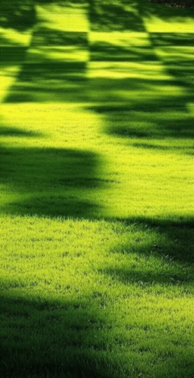 Illustration checkers - Image 2