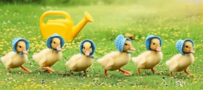 Illustration quintuplets - Image 1