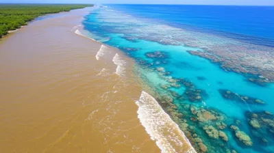 Illustration fresh - Image 1