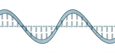 Illustration kb - Image 1