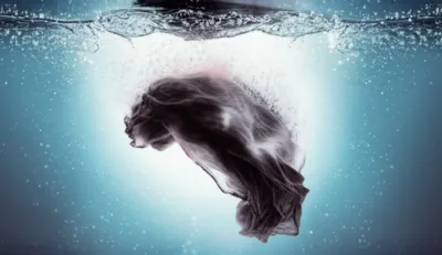 Illustration whites - Image 1