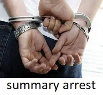 Illustration summary - Image 2