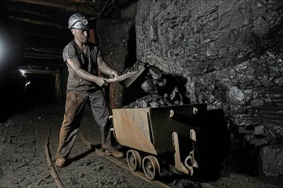 Illustration put - Image 1