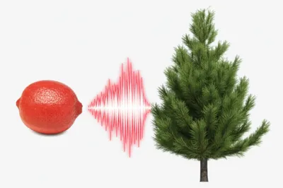 Illustration rhymed - Image 1