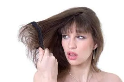 Illustration matting - Image 2