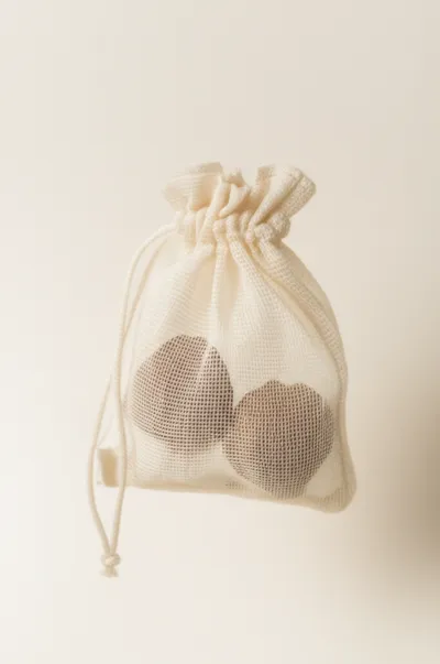 Illustration gonads - Image 1