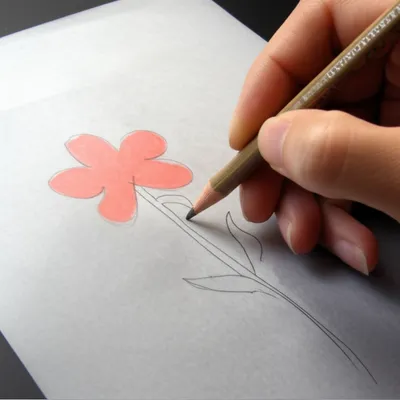 Illustration tracing - Image 1