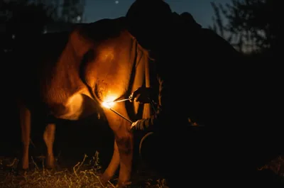 Illustration duffers - Image 1