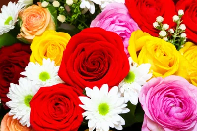 Illustration prettiest - Image 1