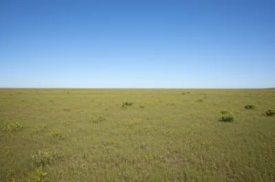 Illustration flats - Image 1