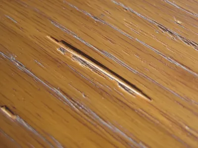 Illustration scotch - Image 1