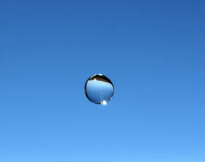 Illustration absolute - Image 1