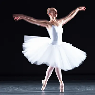 Illustration pirouette - Image 1