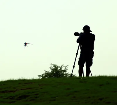 Illustration scopes - Image 1