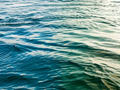 Illustration soothe - Image 1