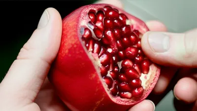 Illustration shelled - Image 1