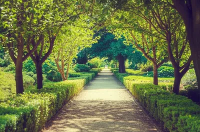 Illustration alley - Image 1