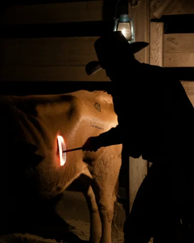 Illustration duff - Image 1