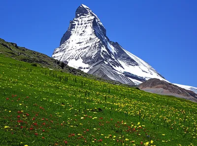 Illustration aa - Image 1