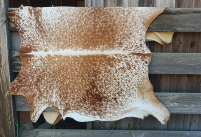 Illustration cowhide