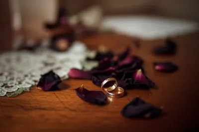 Illustration disband - Image 1