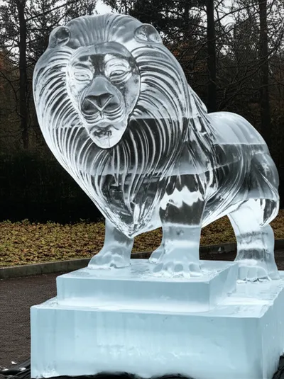 Illustration draws - Image 1