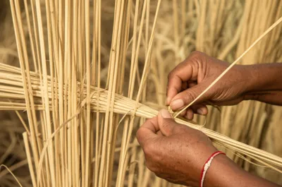 Illustration dis - Image 1