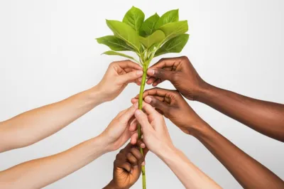 Illustration syndicated - Image 1