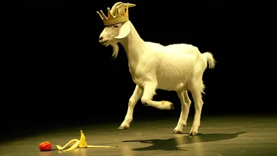 Illustration goats - Image 1