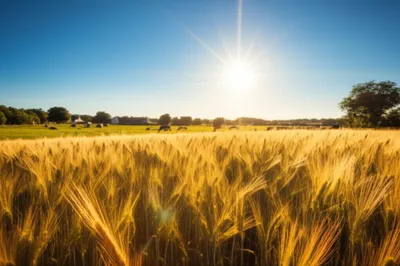 Illustration daylight - Image 1