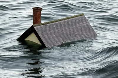 Illustration deluged - Image 1