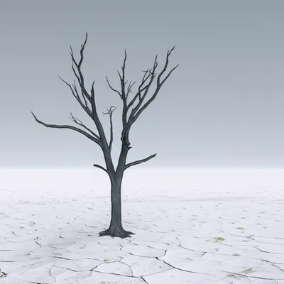 Illustration coldest - Image 1