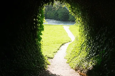 Illustration clears - Image 1