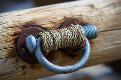 Illustration grafted - Image 1