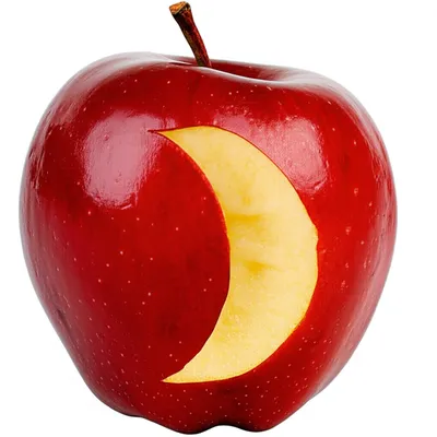 Illustration biting - Image 1