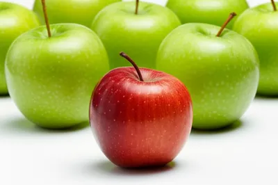 Hình ảnh minh họa objection - Ảnh 1